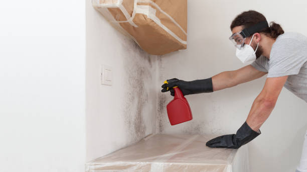 Professional Mold Removal technician working in Leonia, NJ