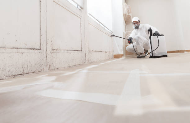 24/7 Emergency Mold Removal experts in Leonia, NJ